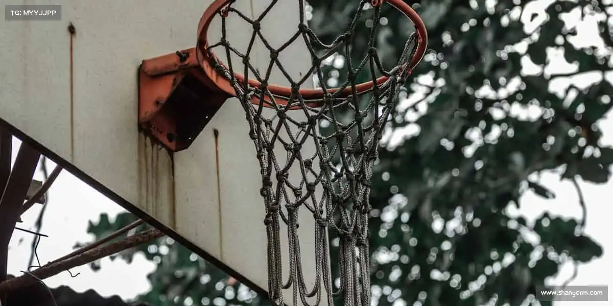 我们的核心竞争力